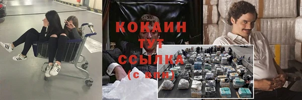 гидра Пестово