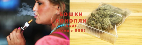 круглые Пересвет