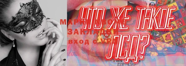 гидра Пестово