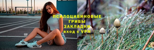 спайс Осинники