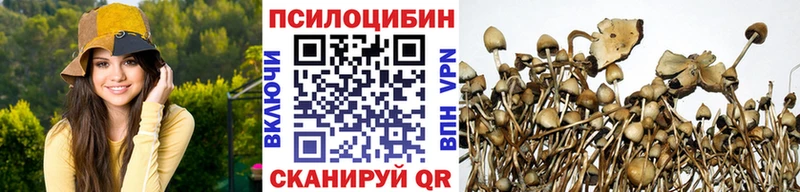 Галлюциногенные грибы MAGIC MUSHROOMS  Байкальск 